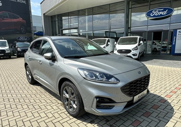 Ford Kuga cena 129900 przebieg: 1, rok produkcji 2022 z Braniewo małe 79